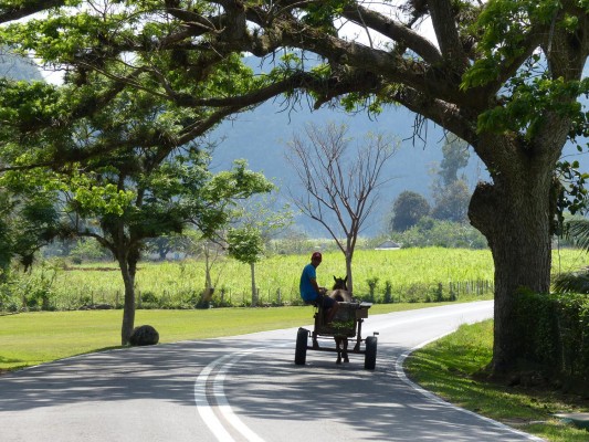 Rural Life, Cuba, Naturalist Journeys
