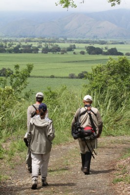 Birding Colombia, Colombia, Colombia Santa Marta, Colombia Birding Tours, Naturalist Journeys