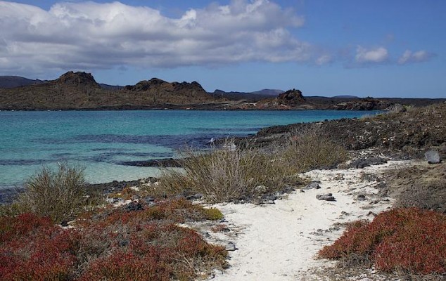 Galapagos Beach, Galapagos Islands, Galapagos Cruise, Naturalist Journeys