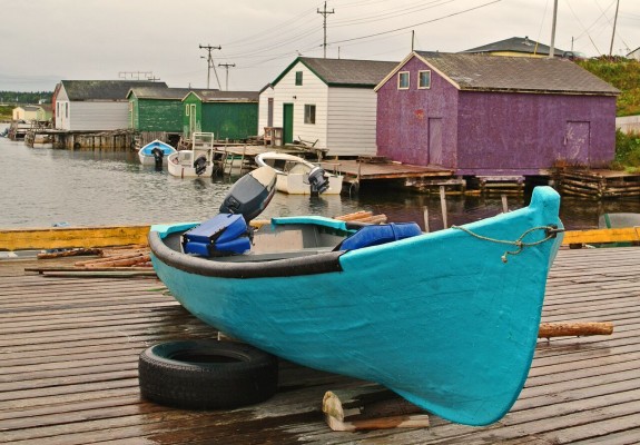 Newfoundland, Labrador, Maritimes, Canada, Naturalist Journeys, Arctic Cruise, Arctic Wildlife Tour