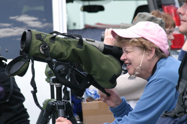 Yellowstone National Park, Yellowstone, Naturalist Journeys, Yellowstone Wildlife Tour, Yellowstone Nature Tour