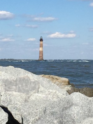 Lighthouse, South Carolina, Folly Beach, Naturalist Journeys, South Carolina Birding Tour, South Carolina Nature Tour