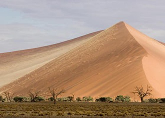 Namib Desert Dunes, Namibia, Naturalist Journeys, Namibia Wildlife Safari, Namibia Safari