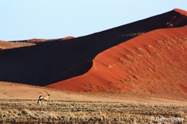 Red Dunes, Namibia, Naturalist Journeys, Namibia Wildlife Safari, Namibia Safari