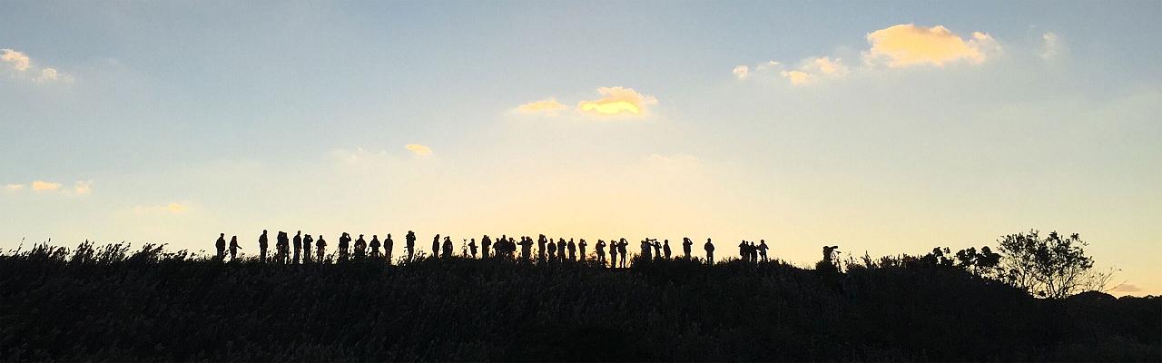 Cape May birders at dawn by Dan Donaldson