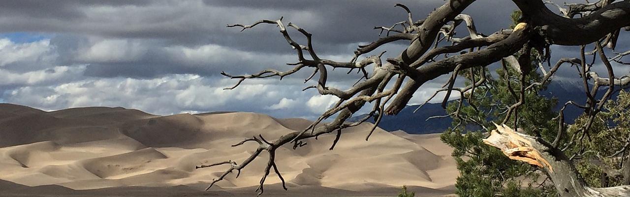 Great Sand Dunes, Colorado, Zapata Ranch, Colorado Nature Tour, Colorado Birding Tour, Colorado Wildlife Tour, Colorado Birding Trip, Naturalist Journeys 