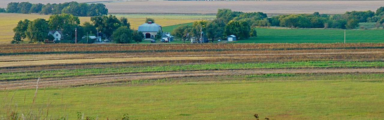 Mt. Mitchel Prairie, Kansas, Tallgrass Prairie, Kansas Nature Tour, Tallgrass Prairie Tour, Naturalist Journeys