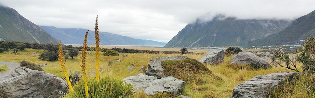 Mount Cook National Park, New Zealand, New Zealand Nature Tour, Naturalist Journeys 
