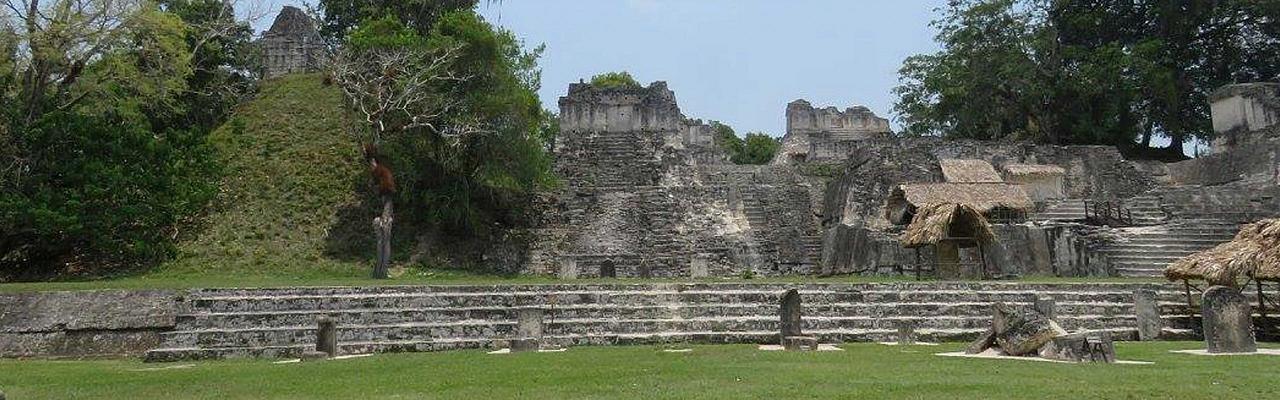 Tikal, Guatemala, Guatemala Nature Tour, Guatemala Birding Tour, Birding Tikal, Naturalist Journeys