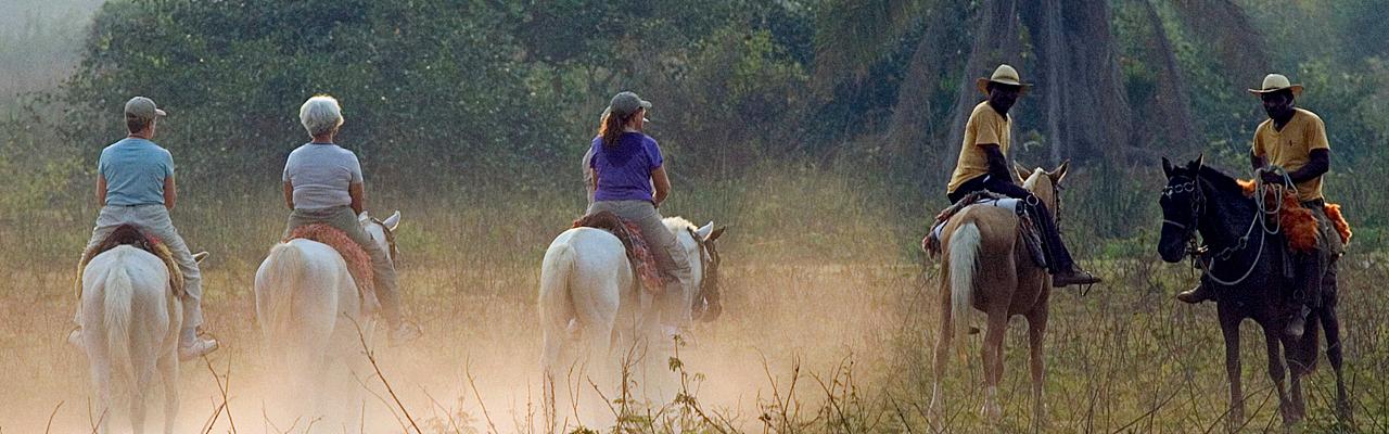 Pantanal by Horseback, Brazil, Pantanal, Brazil Wildlife Tour, Pantanal Wildlife Tour, Brazil Nature Tour, Pantanal Nature Tour, Naturalist Journeys