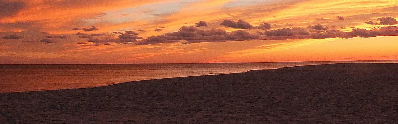 Cape May Sunset, Cape May, Fall Migration Tour, Birding Migration Tour, Naturalist Journeys