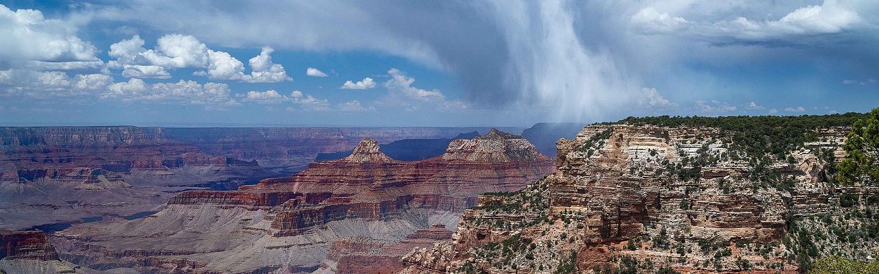 Grand Canyon, National Parks, Southwest National Parks, Arizona, Naturalist Journeys, Arizona Birding Tour