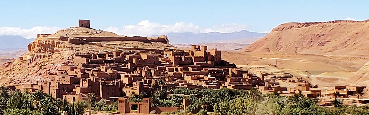 Morocco birding and nature tour, Morocco Atlas Mountains, Naturalist Journeys Guided Nature Tour 