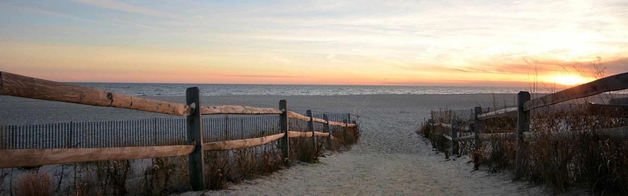 Cape May Point, Cape May, Fall Migration Tour, Birding Migration Tour, Naturalist Journeys