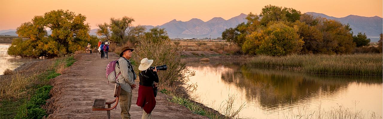 arizona birding tours feeders