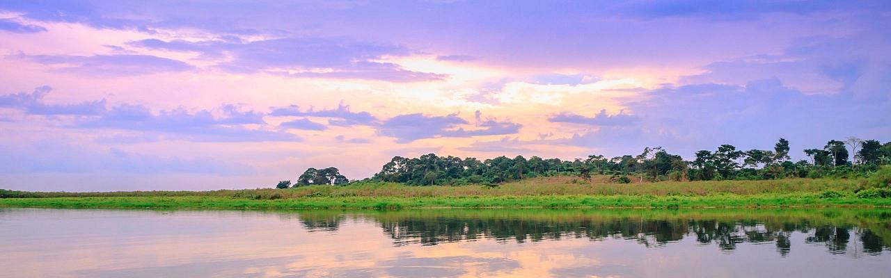 Mabamba Swamp, Birding Uganda, Bird Watching Uganda, Uganda, African Birds, Naturalist Journeys, Wildlife Tour, Wildlife Photography, Ecotourism, Specialty Birds, Endemic Birds, Birding Hotspot, Gorilla Trek, Queen Elizabeth National Park 