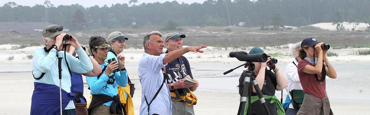 Dauphin Island, Alabama Birding Tour, Alabama Nature Tour, Dauphin Island Birding Tour, Dauphin Island Nature Tour, Fall Migration Tour, Naturalist Journeys