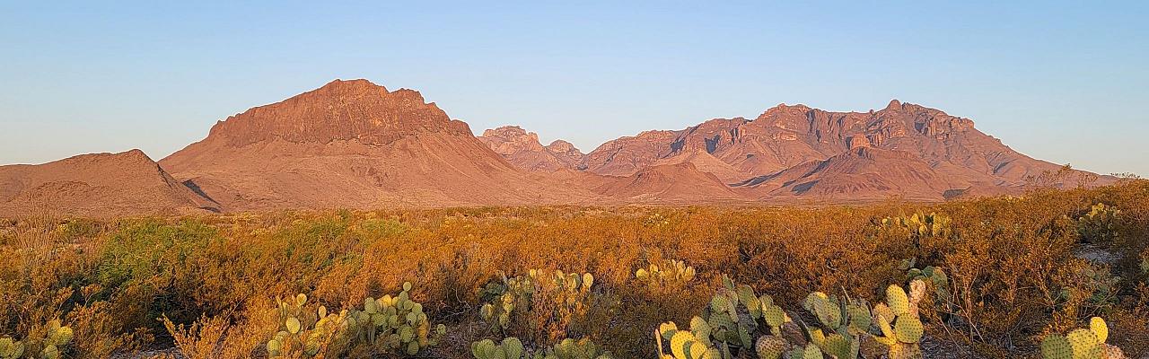 Big Bend National Park, Birding Big Bend, Bird Watching, United States, North American Birds, Naturalist Journeys, Wildlife Tour, Wildlife Photography, Ecotourism, Specialty Birds, Endemic Birds, Birding Hotspot