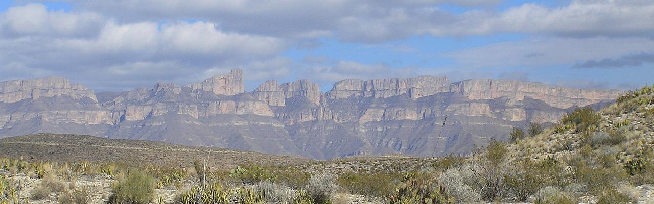 Big Bend National Park, Birding Big Bend, Bird Watching, United States, North American Birds, Naturalist Journeys, Wildlife Tour, Wildlife Photography, Ecotourism, Specialty Birds, Endemic Birds, Birding Hotspot