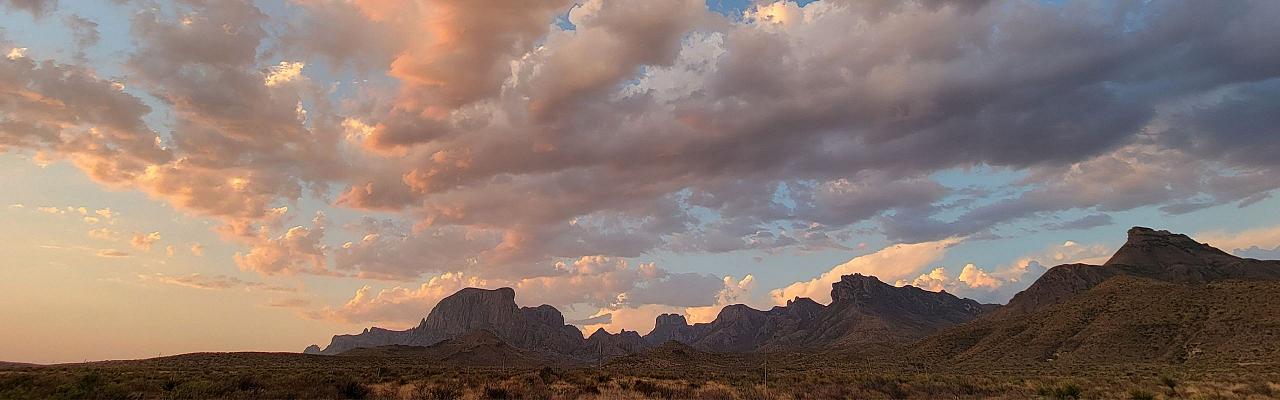 Big Bend National Park, Birding Big Bend, Bird Watching, United States, North American Birds, Naturalist Journeys, Wildlife Tour, Wildlife Photography, Ecotourism, Specialty Birds, Endemic Birds, Birding Hotspot