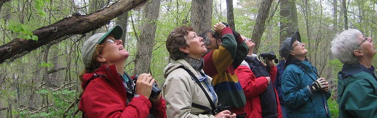 Warbler Migration, Ohio, Magee Marsh, Maumee Bay, Spring Migration Tour, Bird Migration Tour, Naturalist Journeys