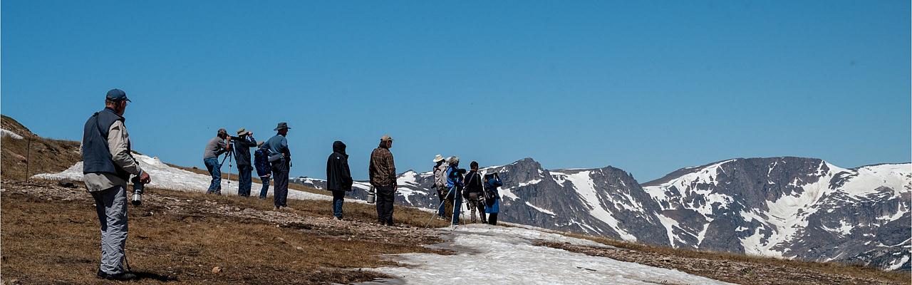 Group at Beartooth Pass, Yellowstone National Park, Yellowstone Birding Tour, Yellowstone Nature Tour, Yellowstone Wildlife Tour, Naturalist Journeys