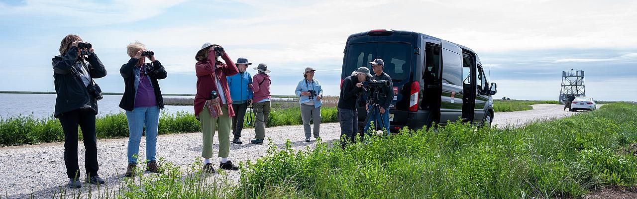 Group Birding, Hugh Simmons; New Jersey Cape May, Cape May Migration, Spring Migration, Spring Migration Tour, Cape May Birding Tour, Naturalist Journeys
