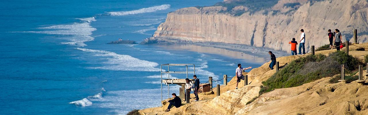 Southern California Birding and Nature Tour in San Diego County, Naturalist Journeys, Anza Borrego State Desert Park, Palomar Mountain State Park, San Elijo Lagoon Ecological Reserve, Torrey Pines State Park, Coast to Cactus Birding and Nature tour