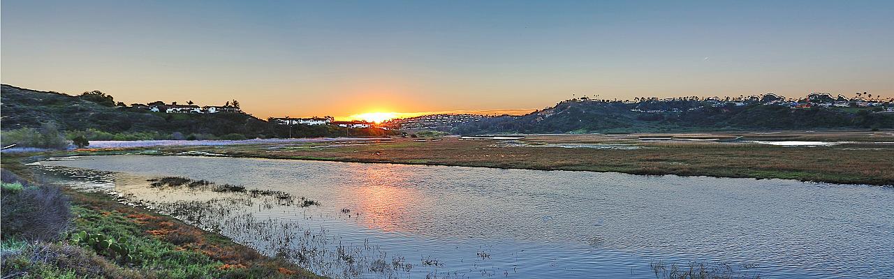 Southern California Birding and Nature Tour in San Diego County, Naturalist Journeys, Anza Borrego State Desert Park, Palomar Mountain State Park, San Elijo Lagoon Ecological Reserve, Torrey Pines State Park, Coast to Cactus Birding and Nature tour