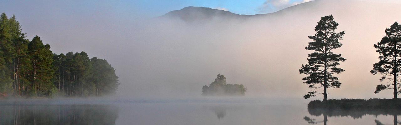 Loch an Eilei, Scotland, Scotland Nature Tour, Scotland Birding Tour, Naturalist Journeys