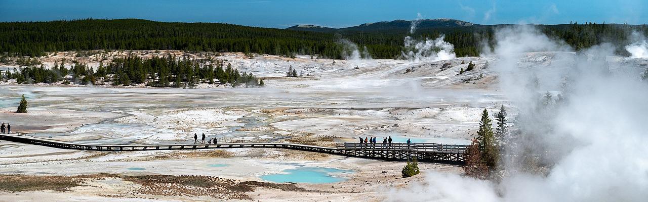 Norris Geyser Basin, Yellowstone National Park, Yellowstone Birding Tour, Yellowstone Nature Tour, Yellowstone Wildlife Tour, Naturalist Journeys