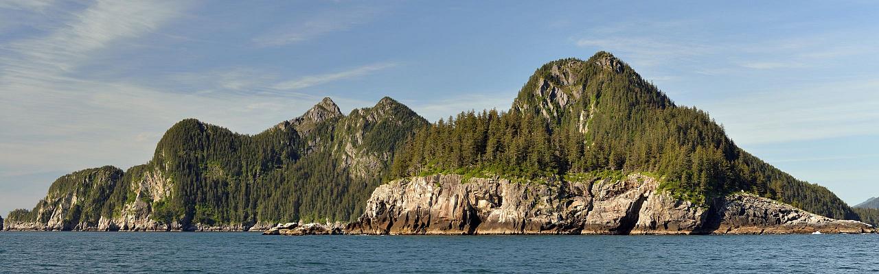 Birding Alaska, Bird Watching Alaska, Naturalist Journeys, Wildlife Tour, Wildlife Photography, Ecotourism, Specialty Birds, Endemic Birds, Birding Hotspot, Anchorage, Kenai Fjords