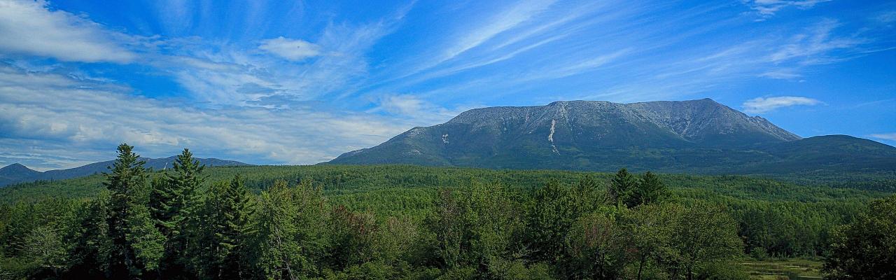 Birding Maine, Bird watching Maine, USA, North America, Acadia National Park, Bar Harbor, Naturalist Journeys, Wildlife Tour, Wildlife Photography, Ecotourism, Specialty Birds, Endemic Birds, Birding Hotspot 