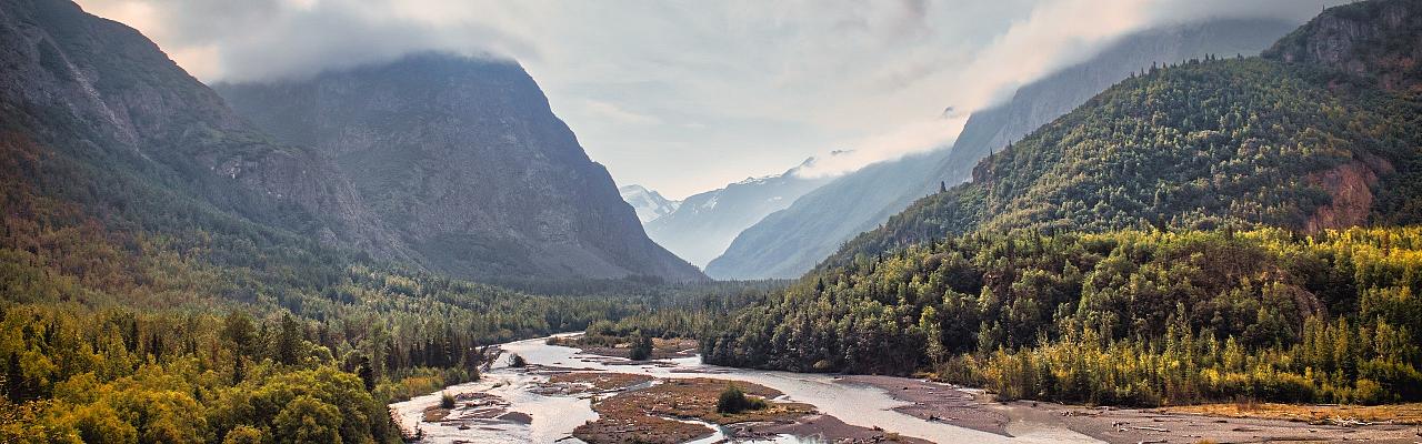 Alaska, Chugach Mountains, Alaska Birding Tour, Alaska Nature Tour; Naturalist Journeys