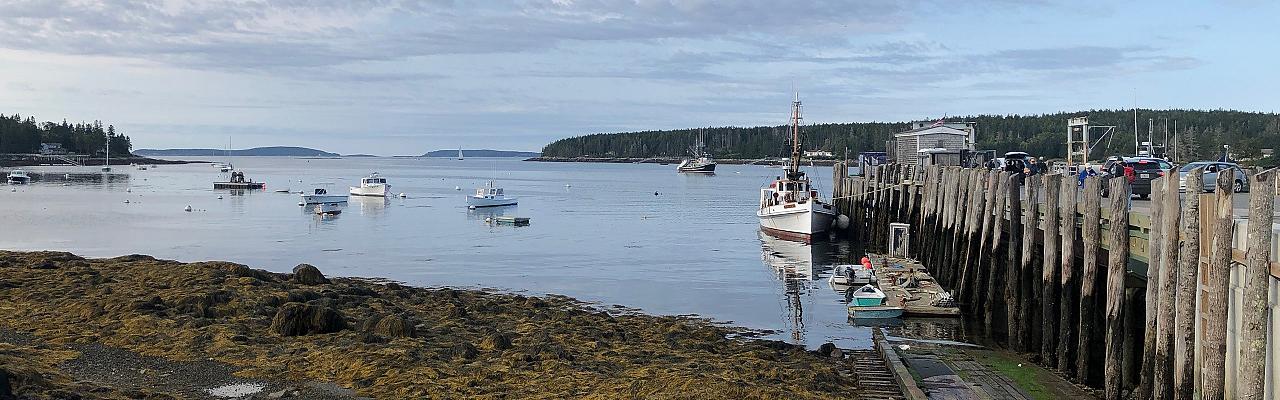 Port Clyde, Maine, Valerie Gebert, Maine's Monhegan Island Birding and Nature Tour, Fall Warblers Naturalist Journeys