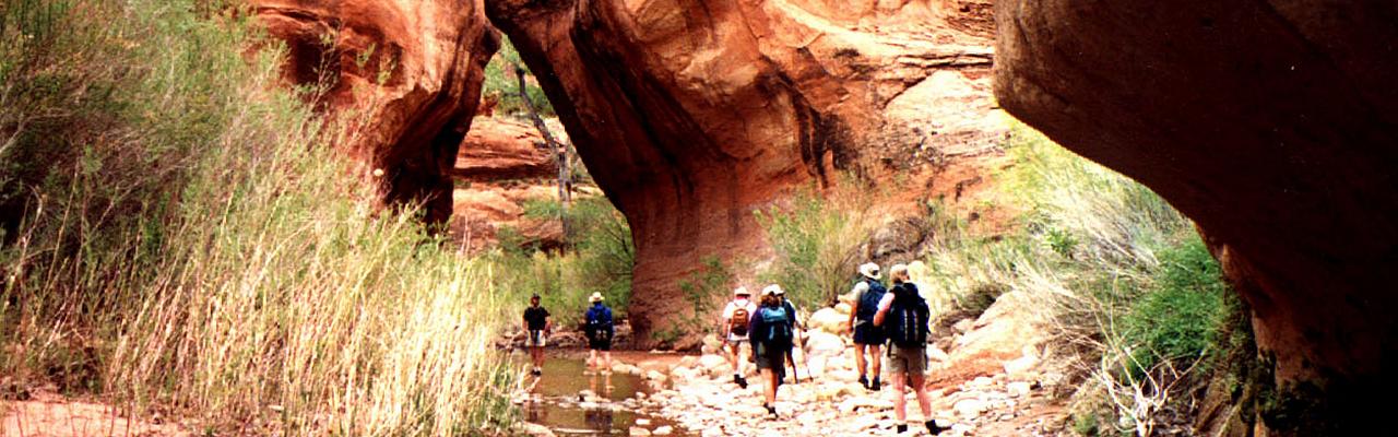 Hiking Utah, National Parks, Southwest National Parks, Utah, Naturalist Journeys, Utah Birding Tour