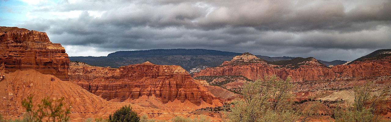 Capitol Reef, National Parks, Southwest National Parks, Utah, Naturalist Journeys, Utah Birding Tour