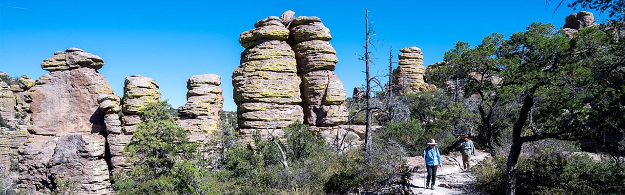 Chiricahua National Monument, Southeast Arizona, Arizona, Arizona Nature Tour, Arizona Birding Tour, Naturalist Journeys