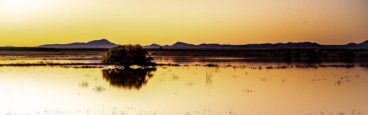 Whtewater Draw, Southeast Arizona, Arizona, Arizona Nature Tour, Arizona Birding Tour, Naturalist Journeys