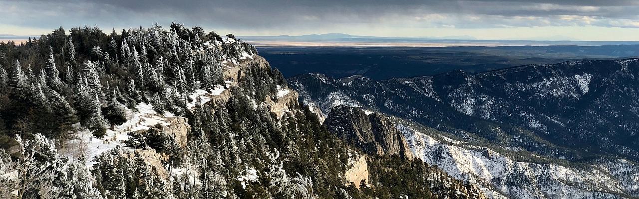 New Mexico Nature tour, New Mexico Wildlife Tour, New Mexico Birding Tour, Naturalist Journeys