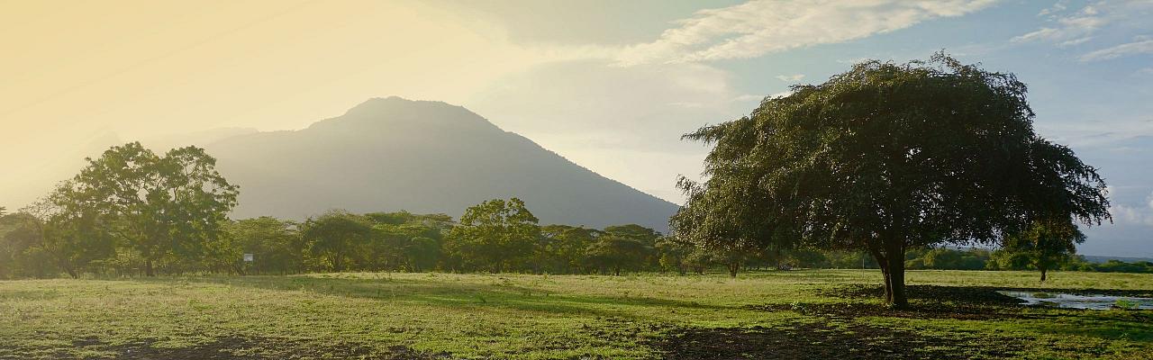 Baluran, Birding Indonesia, Bird Watching Indonesia, Indonesia, Asia, Birding Asia, Naturalist Journeys, Wildlife Tour, Wildlife Photography, Ecotourism, Specialty Birds, Endemic Birds, Birding Hotspot