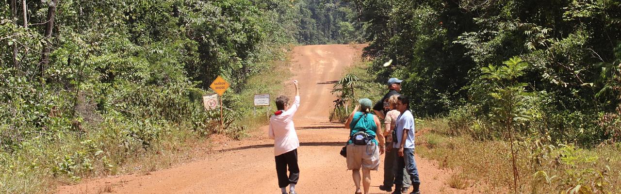 Birding Guyana, Guyana, Guyana Nature Tour, Guyana Birding Tour, Guyana Wildlife Tour; Naturalist Journeys