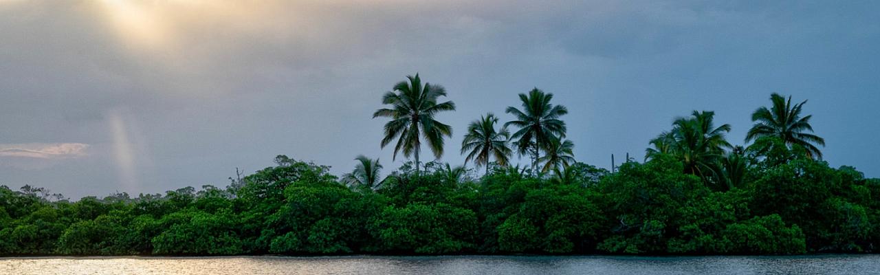 Tranquilo Bay, Panama, Tranquilo Bay Birding, Panama Birding Tour, Panama Nature Tour, Naturalist Journeys