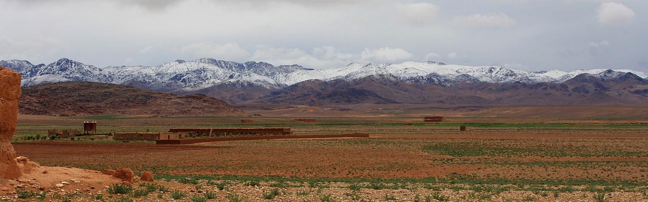 Morocco, Morocco Birding Tour, Morocco Nature Tour, Morocco Wildlife Tour, Naturalist Journeys