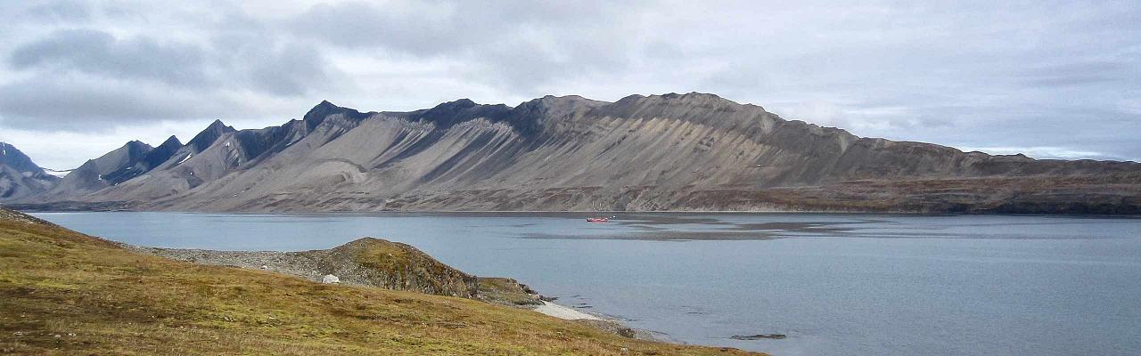 Svalbard, Spitsbergen, Svalbard Birding Cruise, Svalbard Nature Cruise, Naturalist Journeys