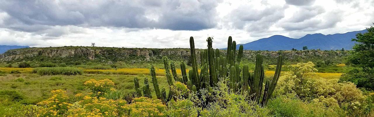 Scenic, Mexico tour, Mexico Birding Tour, Oaxaca Mexico