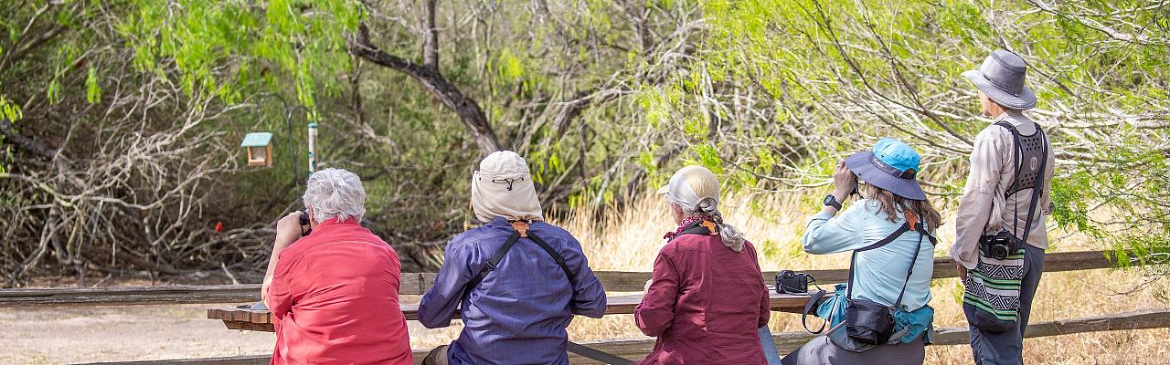 Birding South Texas, Bird watching, Rio Grande Valley, South Texas, Naturalist Journeys, Wildlife Tour, Wildlife Photography, Ecotourism, Specialty Birds, Birding Hotspot