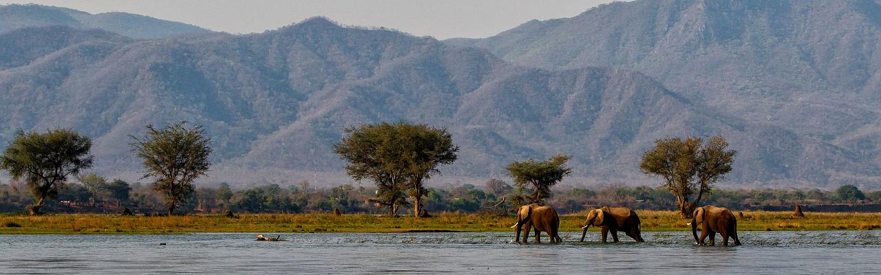 Birding Zimbabwe, Bird watching Zambia, Africa, African Safari Journeys, Wildlife Tour, Wildlife Photography, Ecotourism, Specialty Birds, Birding Hotspot