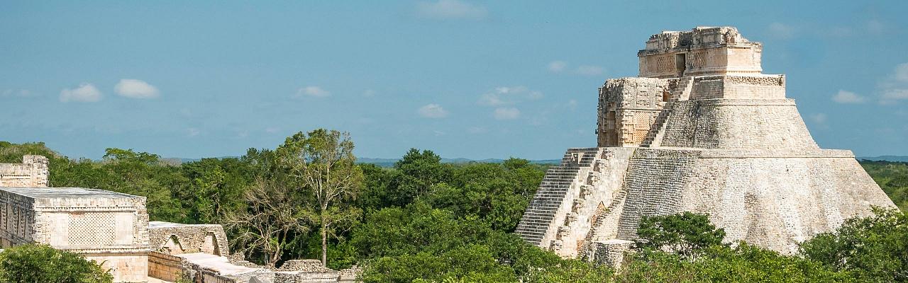 Birding Mexico, Bird watching Yucatán Peninsula, Mexico Nature Tour, Naturalist Journeys, Wildlife Tour, Wildlife Photography, Ecotourism, Specialty Birds, Birding Hotspot