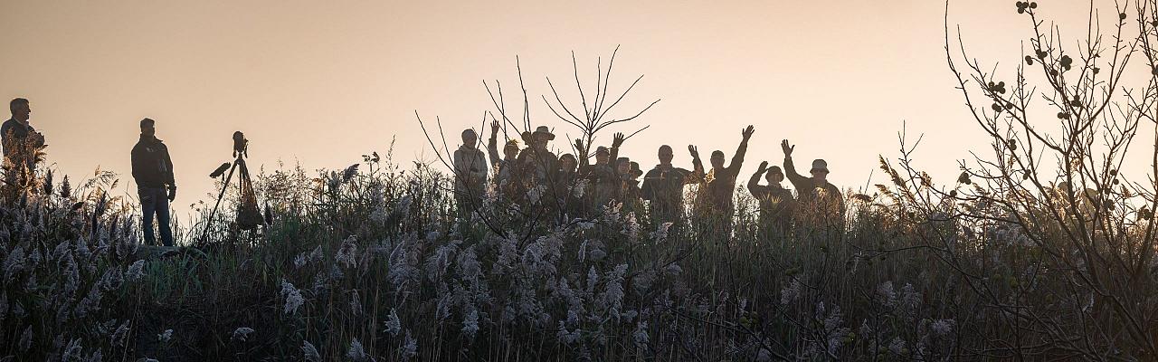 Morning Birding, Birding New Jersey, Bird watching Cape May, Cape May New Jersey, Nature Tour, Naturalist Journeys, Wildlife Tour, Wildlife Photography, Ecotourism, Specialty Birds, Birding Hotspot, Endemic Birds